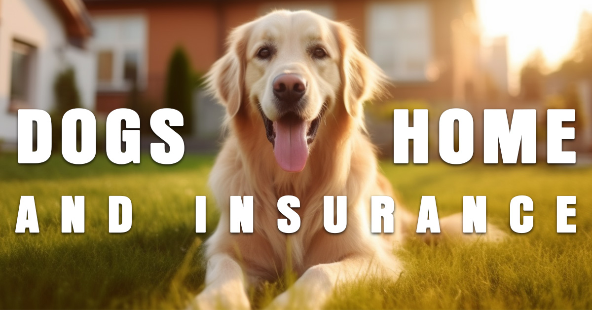 HOME- Dogs and Home Insurance